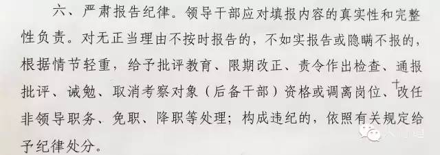 个人工作总结标题格式_领导干部个人有关事项报告 不如实申报 后果 抽查核实 随机抽查 重点抽查 凡提必核 填报细节 注意事项