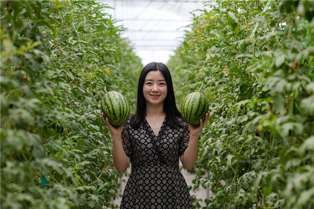 流曲东川新闻_东川泥石流治理_东川荒漠化治理