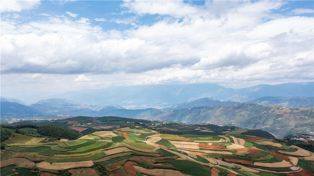 东川荒漠化治理_流曲东川新闻_东川泥石流治理