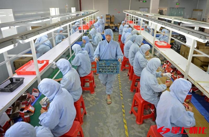 溆浦最新大消息_溆浦县历史发展_溆浦县工业经济发展