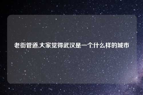 老街管道,大家觉得武汉是一个什么样的城市