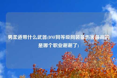男柔道带什么武器(DNF同等级同装备伤害最高的是哪个职业谢谢了)
