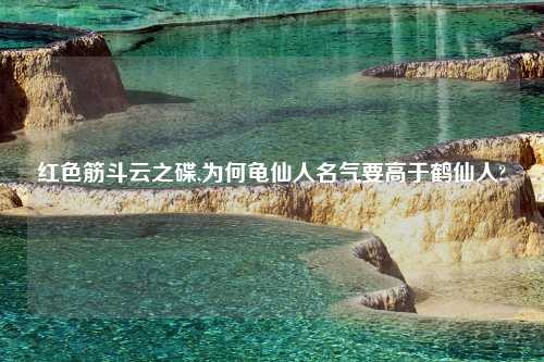 红色筋斗云之碟,为何龟仙人名气要高于鹤仙人?
