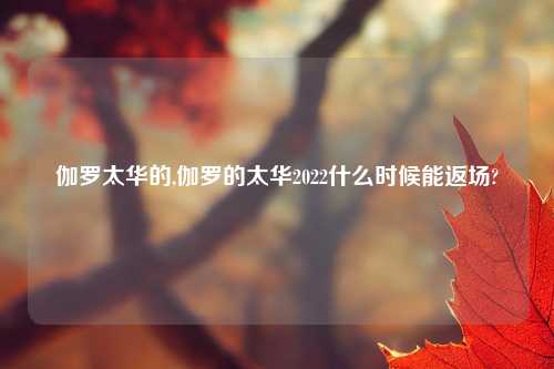 伽罗太华的,伽罗的太华2022什么时候能返场?