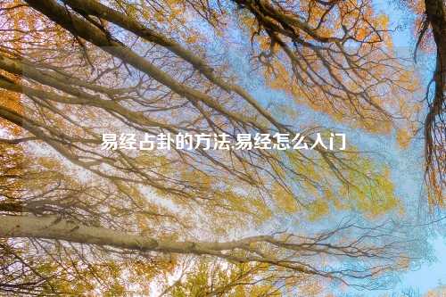 易经占卦的方法,易经怎么入门