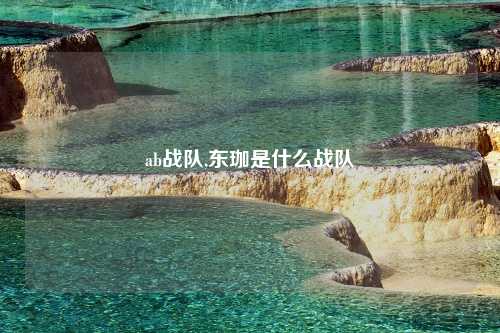 ab战队,东珈是什么战队