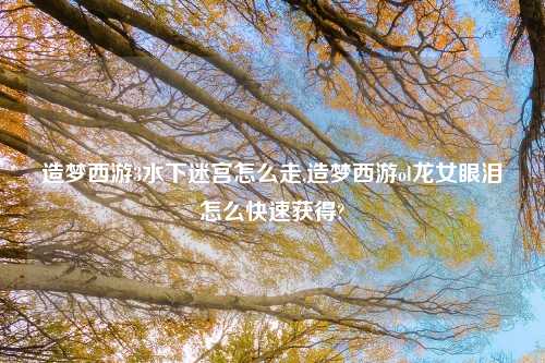 造梦西游3水下迷宫怎么走,造梦西游ol龙女眼泪怎么快速获得?