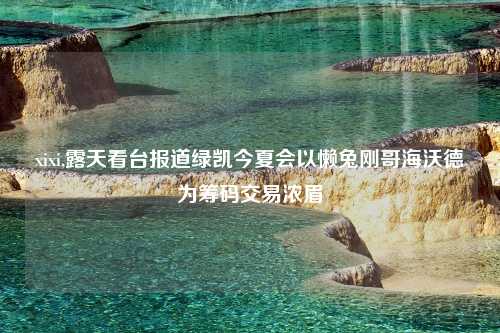 xixi,露天看台报道绿凯今夏会以懒兔刚哥海沃德为筹码交易浓眉
