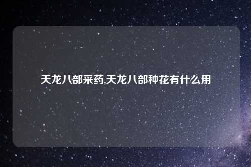 天龙八部采药,天龙八部种花有什么用