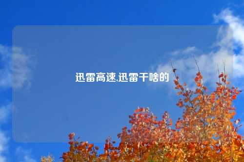 迅雷高速,迅雷干啥的