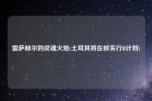 雷萨赫尔的灵魂火炮(土耳其将在叙实行B计划)