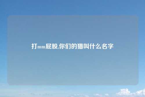 打mm屁股,你们的猫叫什么名字