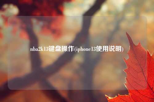 nba2k13键盘操作(iphone13使用说明)