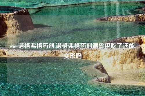 wow诺格弗格药剂,诺格弗格药剂德鲁伊吃了还能变形吗