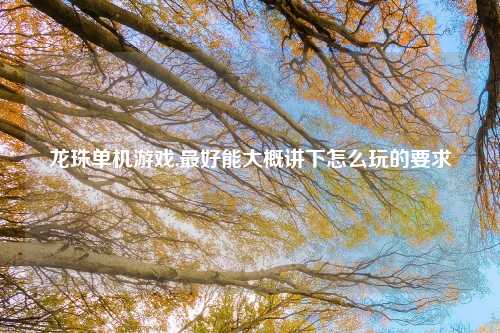 龙珠单机游戏,最好能大概讲下怎么玩的要求