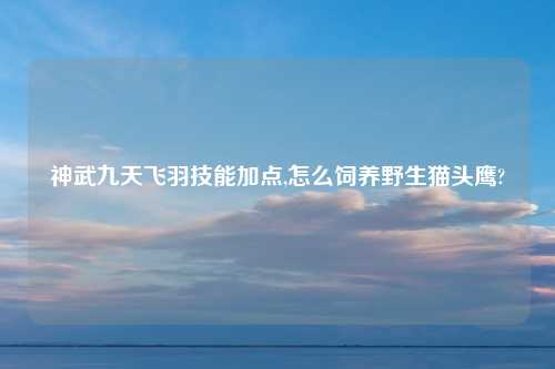 神武九天飞羽技能加点,怎么饲养野生猫头鹰?
