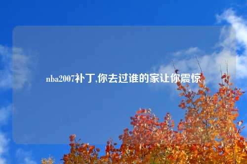 nba2007补丁,你去过谁的家让你震惊