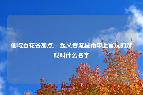 仙域百花谷加点,一起又看流星雨中上官玩的游戏叫什么名字