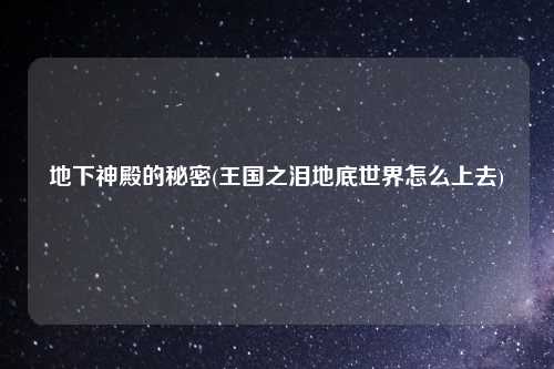 地下神殿的秘密(王国之泪地底世界怎么上去)