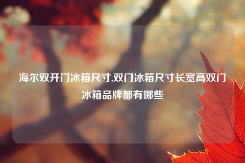 海尔双开门冰箱尺寸,双门冰箱尺寸长宽高双门冰箱品牌都有哪些