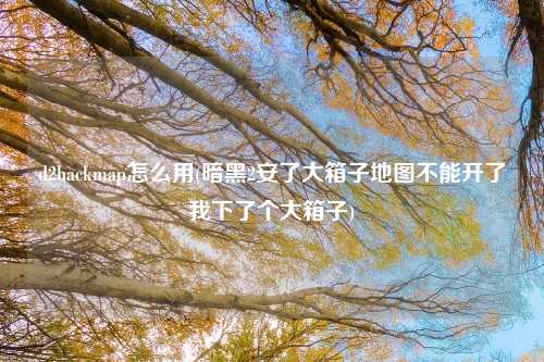 d2hackmap怎么用(暗黑2安了大箱子地图不能开了我下了个大箱子)