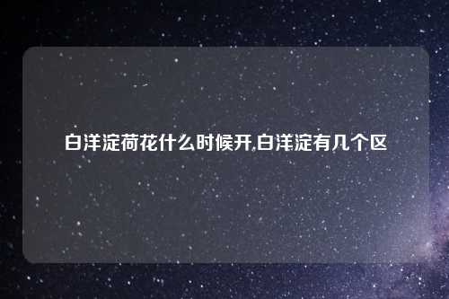 白洋淀荷花什么时候开,白洋淀有几个区