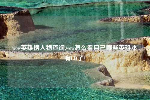 wow英雄榜人物查询,wow怎么看自己哪些英雄本有CD了?