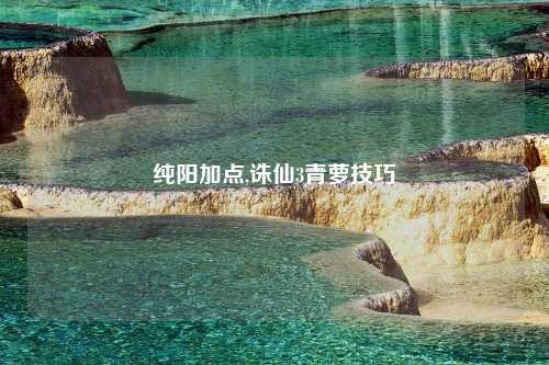 纯阳加点,诛仙3青萝技巧