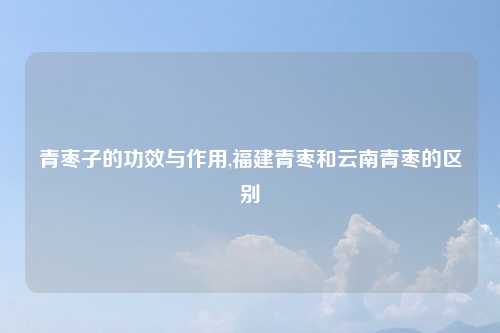 青枣子的功效与作用,福建青枣和云南青枣的区别
