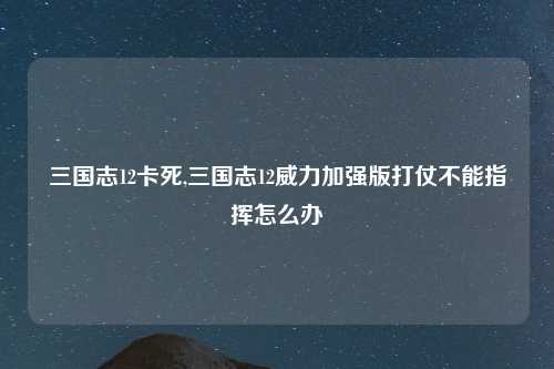 三国志12卡死,三国志12威力加强版打仗不能指挥怎么办