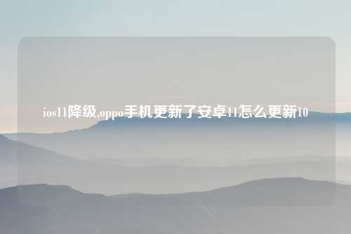 ios11降级,oppo手机更新了安卓11怎么更新10
