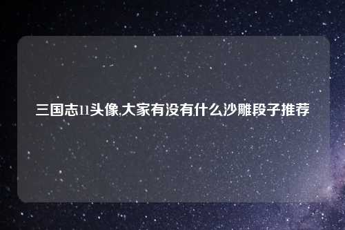 三国志11头像,大家有没有什么沙雕段子推荐