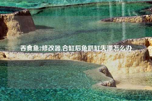 吞食鱼2修改器,合缸后鱼趴缸失漂怎么办