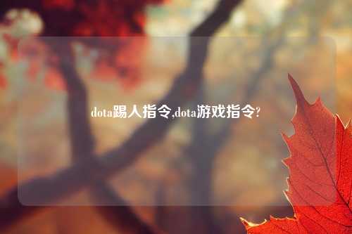 dota踢人指令,dota游戏指令?