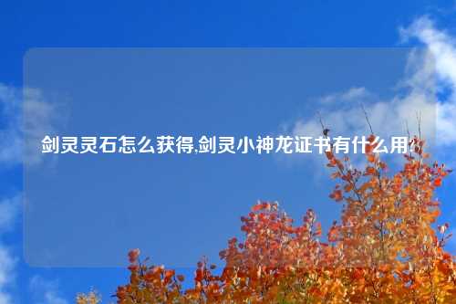 剑灵灵石怎么获得,剑灵小神龙证书有什么用?