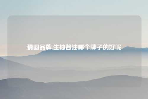 猜图品牌,生抽酱油哪个牌子的好呢