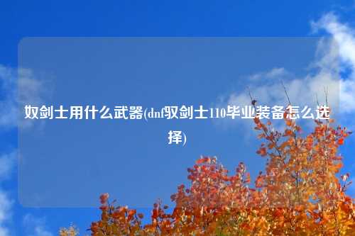 奴剑士用什么武器(dnf驭剑士110毕业装备怎么选择)