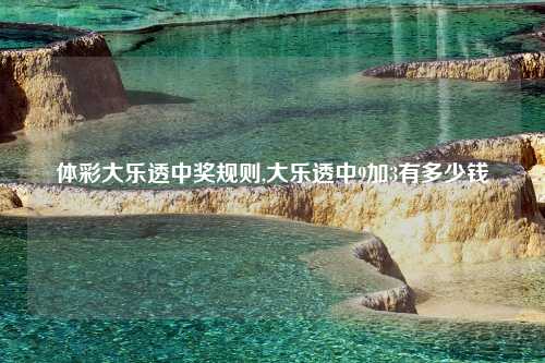 体彩大乐透中奖规则,大乐透中9加3有多少钱