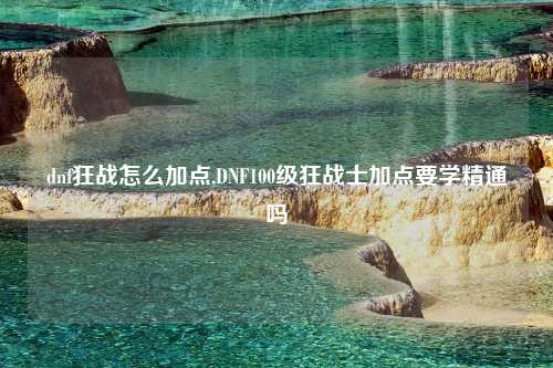 dnf狂战怎么加点,DNF100级狂战士加点要学精通吗
