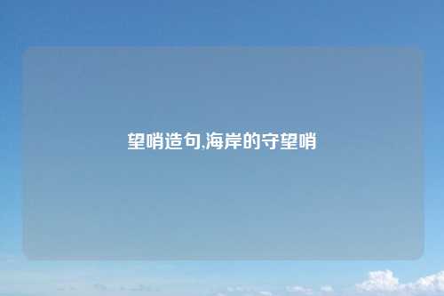 望哨造句,海岸的守望哨