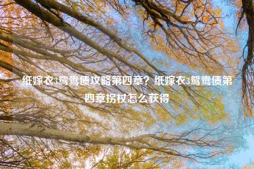 纸嫁衣3鸳鸯债攻略第四章？纸嫁衣3鸳鸯债第四章拐杖怎么获得