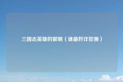 三国志英雄的黎明（谁最奸诈狡猾）