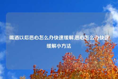 喝酒以后恶心怎么办快速缓解,恶心怎么办快速缓解小方法