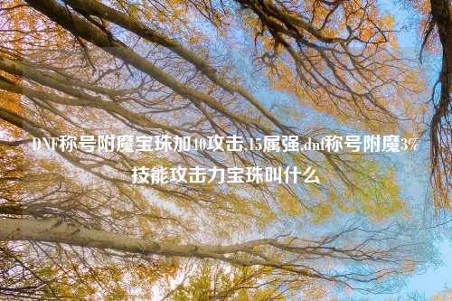 DNF称号附魔宝珠加40攻击,15属强,dnf称号附魔3%技能攻击力宝珠叫什么