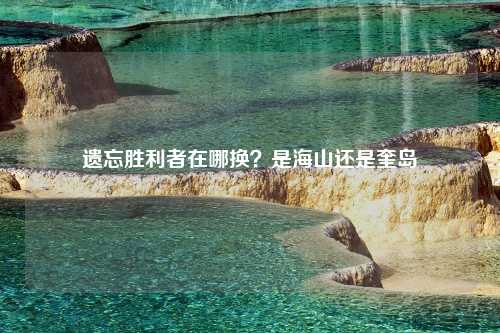 遗忘胜利者在哪换？是海山还是奎岛