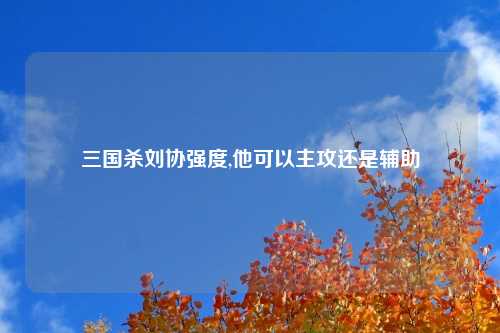 三国杀刘协强度,他可以主攻还是辅助