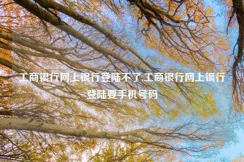 工商银行网上银行登陆不了,工商银行网上银行登陆要手机号码