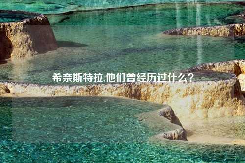 希奈斯特拉,他们曾经历过什么？