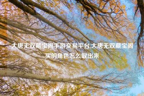 大唐无双藏宝阁手游交易平台,大唐无双藏宝阁买的角色怎么取出来