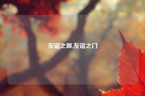 友谊之眼,友谊之门